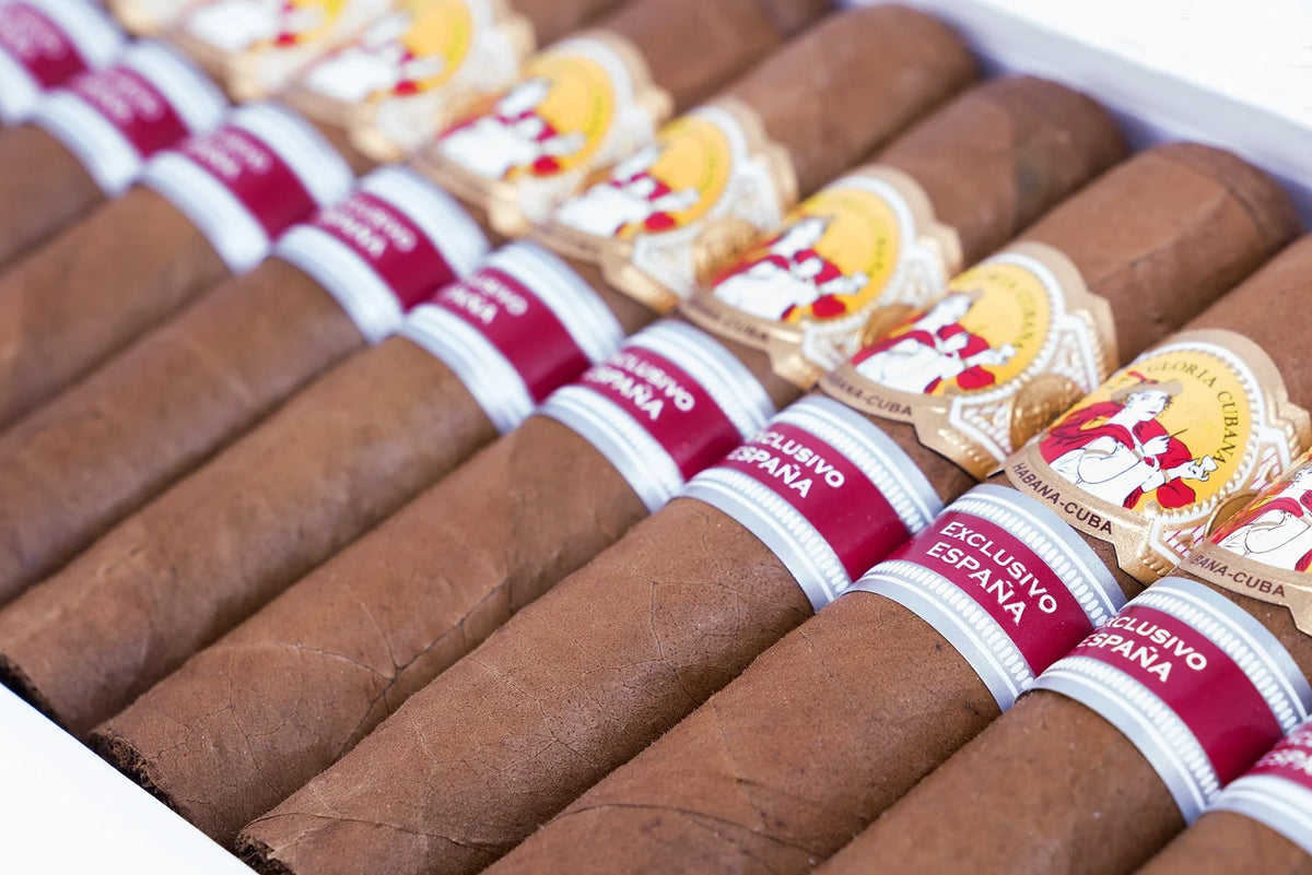 La Gloria Cubana Serie D No.5 Espana 2017