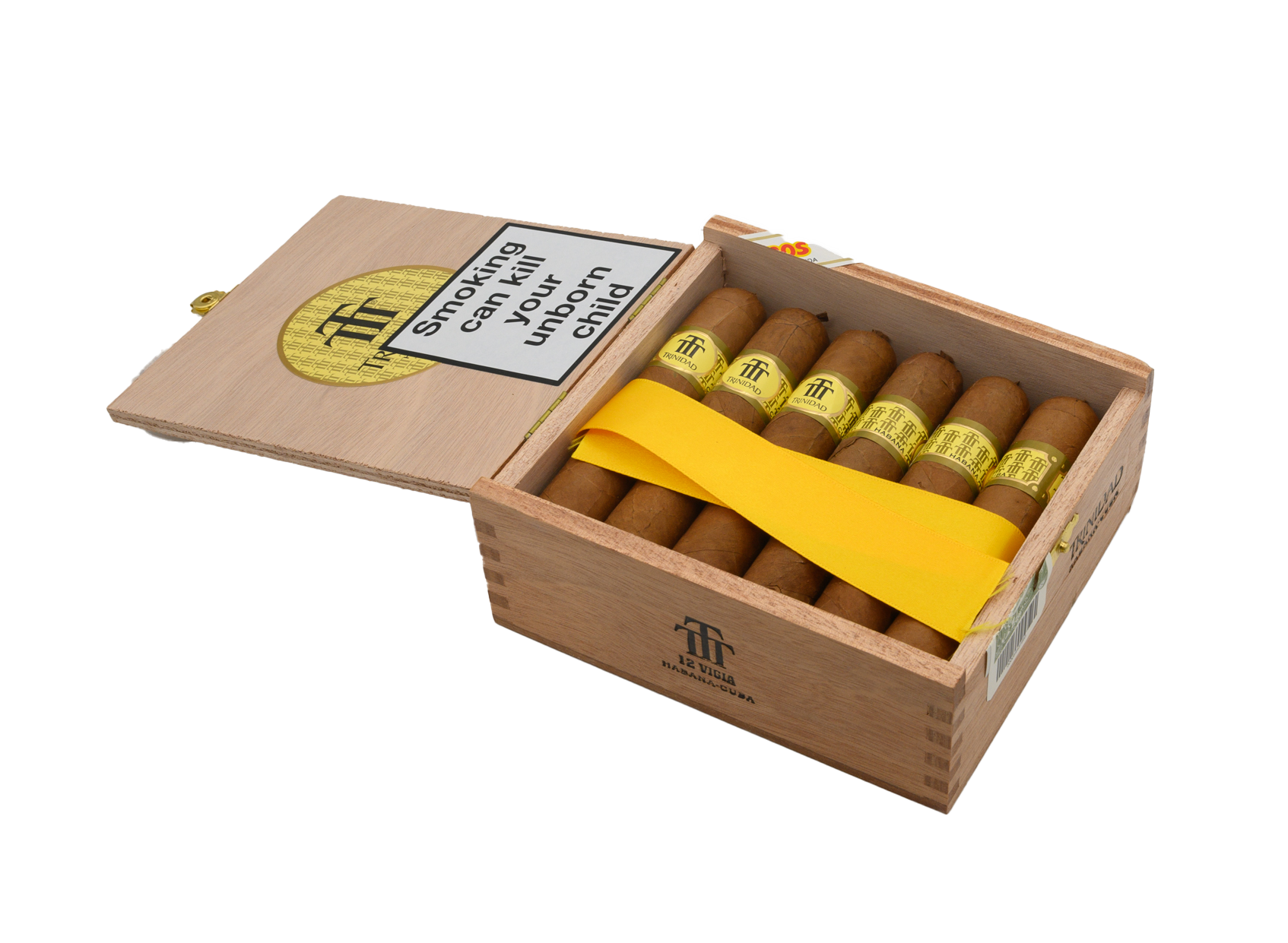 Trinidad Vigia