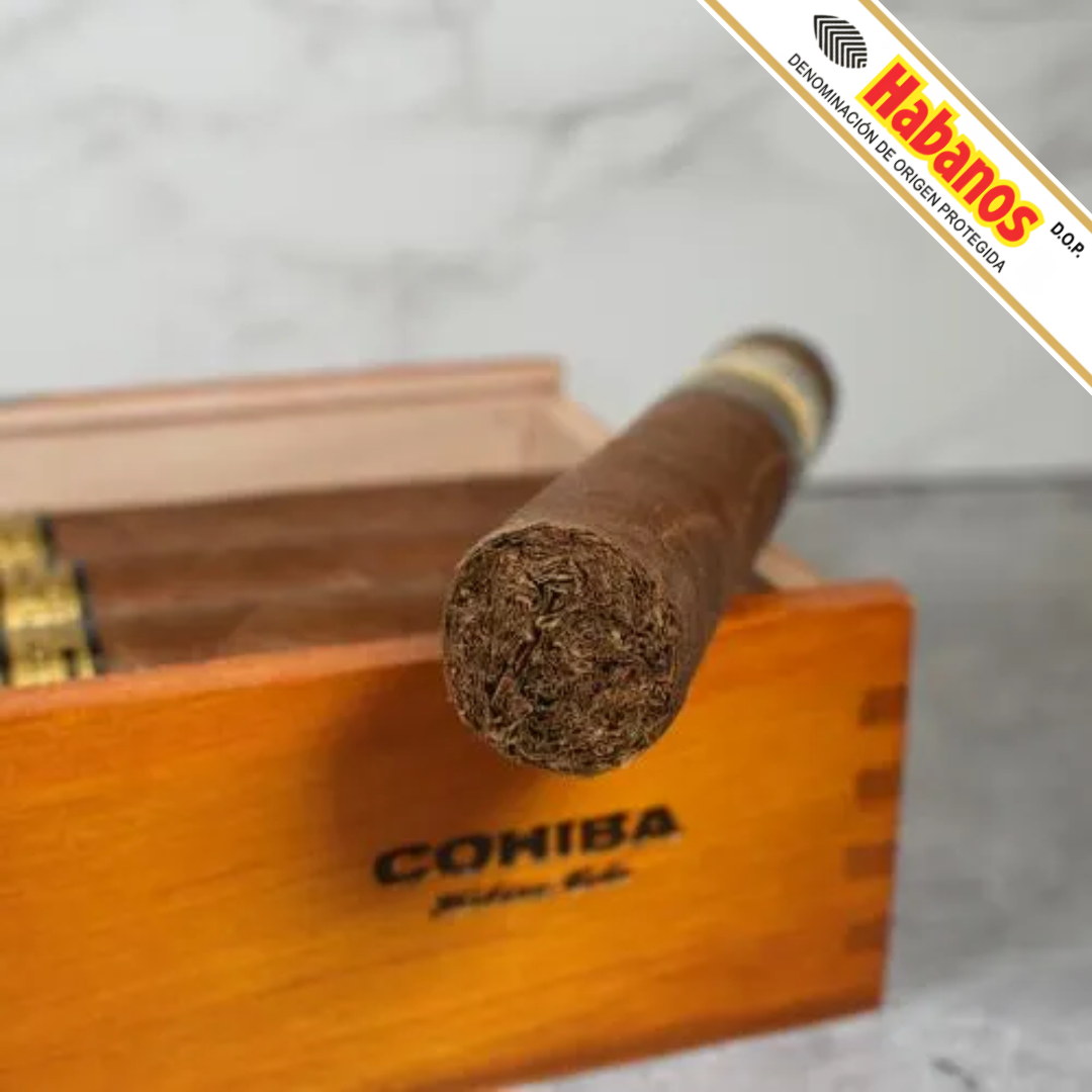 A close-up of a single Cohiba Talisman Limited Edition 2017 cigar resting on an open wooden cigar box with the brand name COHIBA visible, set against a light marble-like background. A Habanos logo banner appears in the top-right corner.