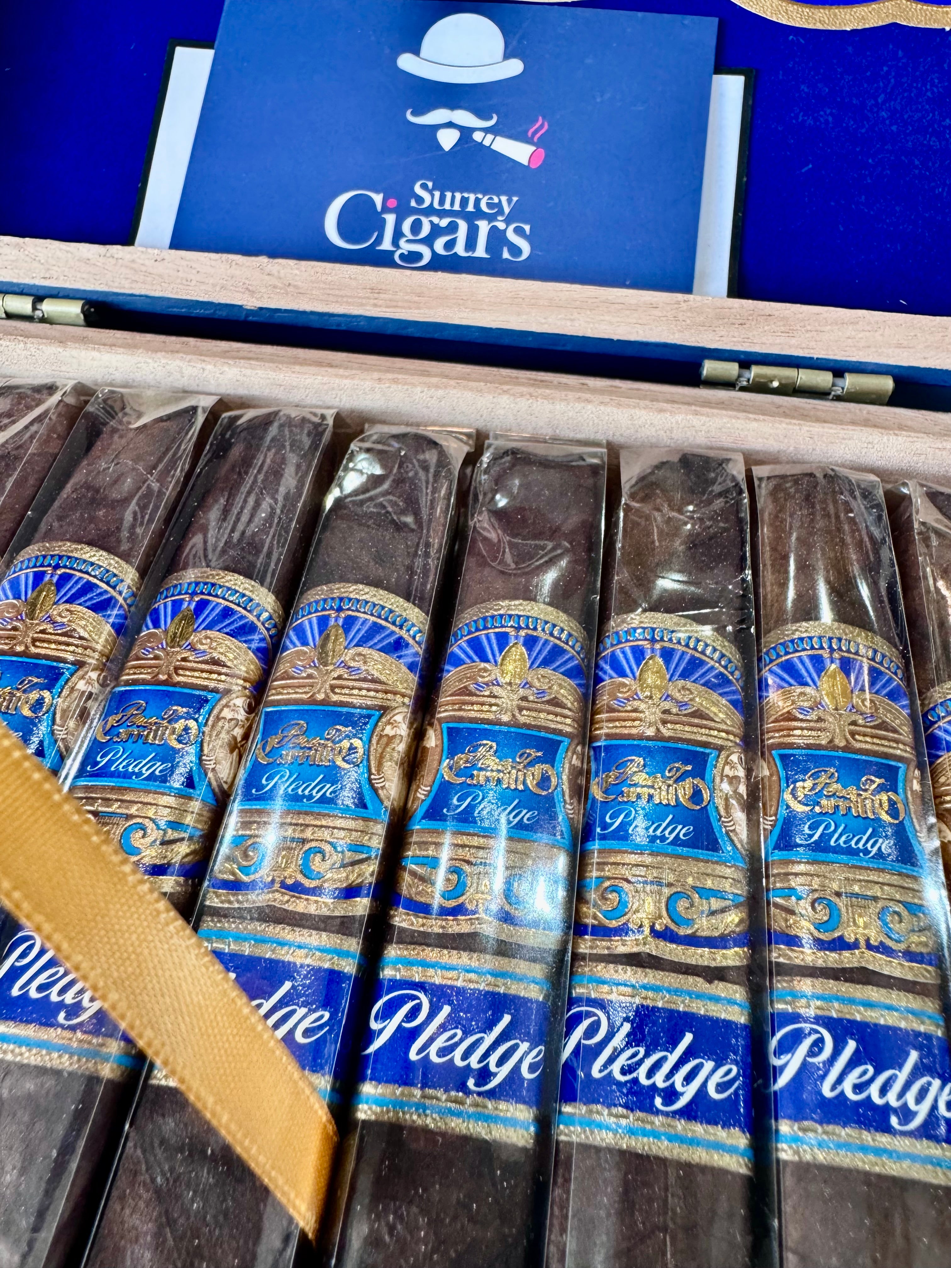 E.P. Carrillo Pledge Lonsdale Limitada