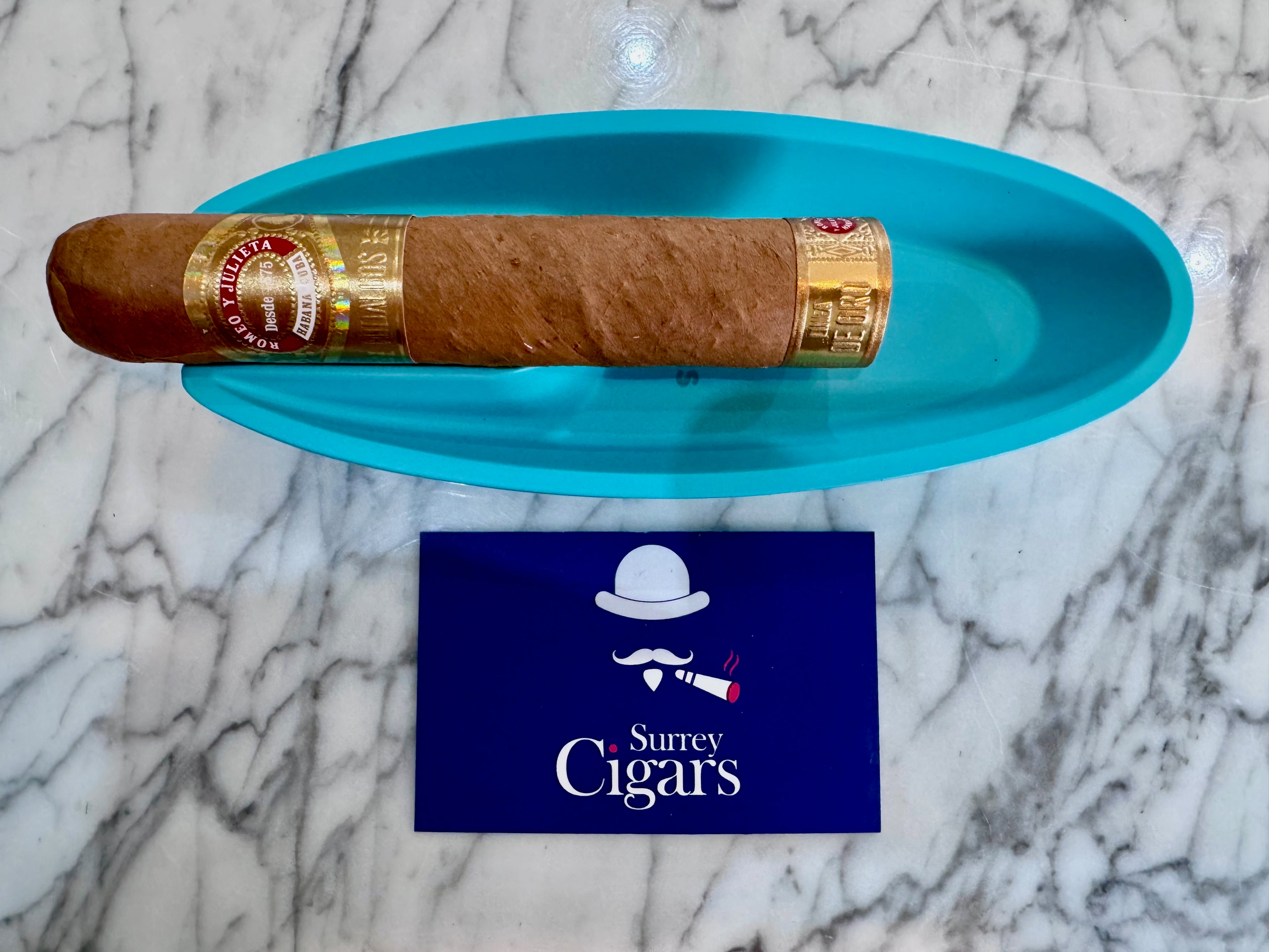 Mantis - Streamline - Metal and Ceramic Ashtray - Aqua