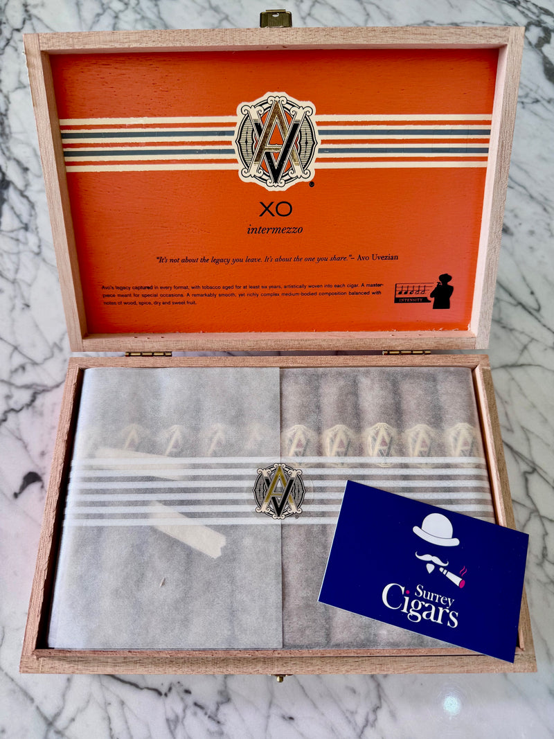 AVO XO Intermezzo Robusto