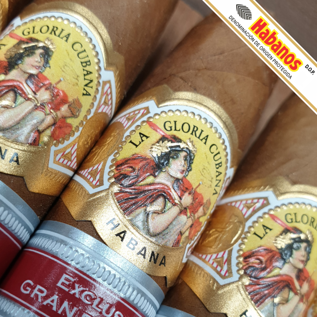 Close-up of several La Gloria Cubana Britanicas Extra UK Regional Edition 2017 cigars with gold and red labels reading La Gloria Cubana Habana. A Habanos banner is visible in the top right corner.