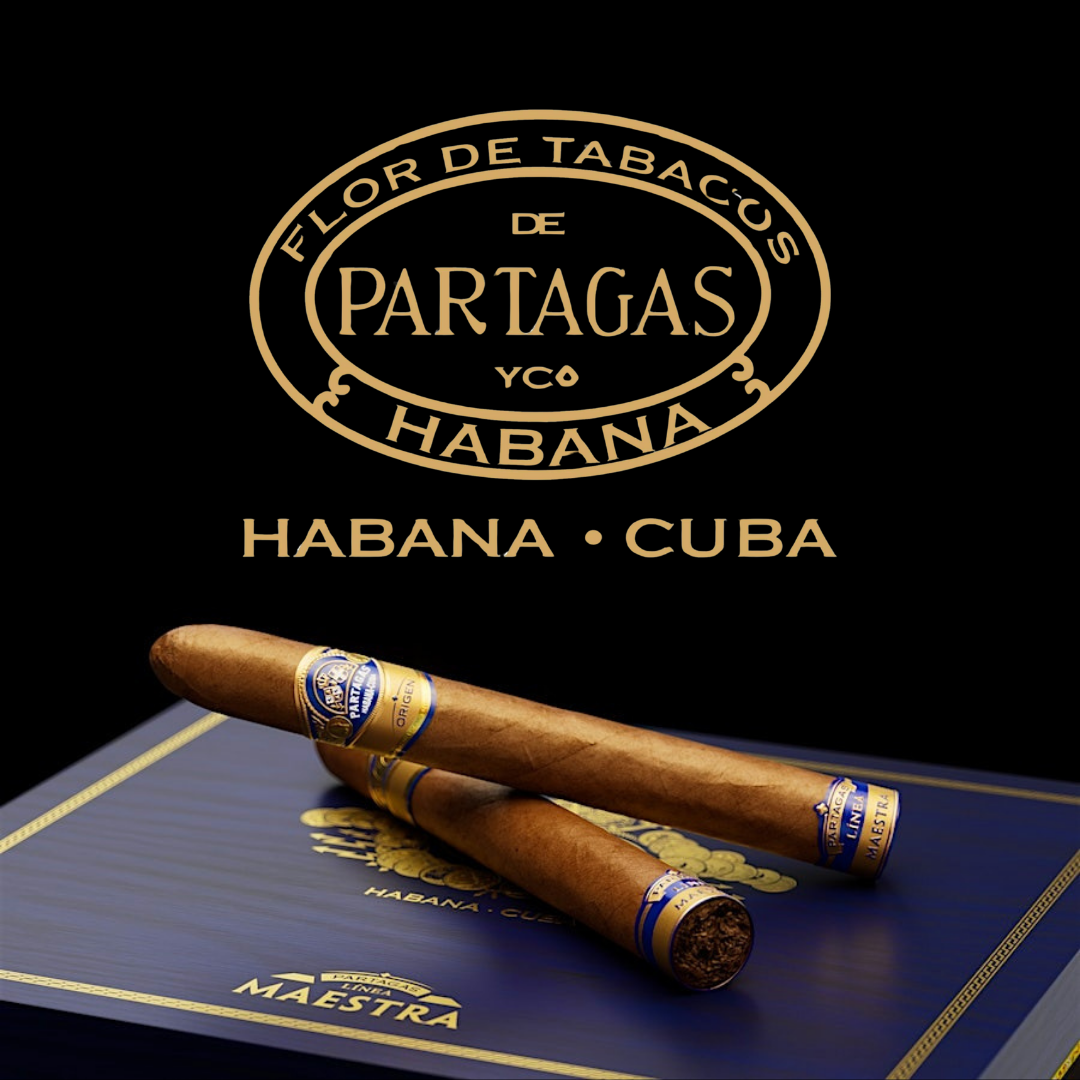 Partagas Línea Maestra Maestro #4 Cigar of the Year 2024 by the Cigar Aficionado