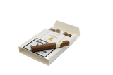 Davidoff Winston Churchill Artist Petit Corona