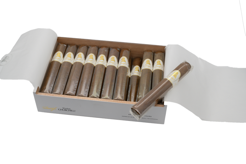 Davidoff Winston Churchill Robusto Statesman