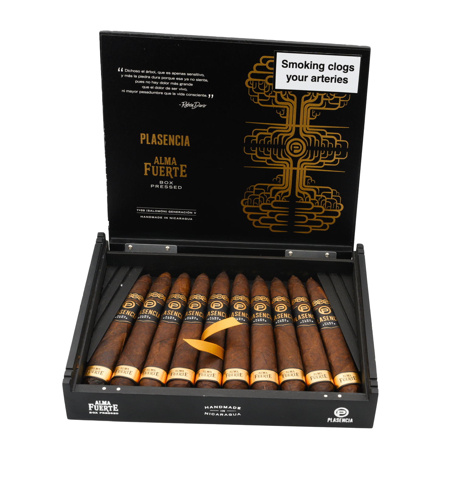 Plasencia Alma Fuerte Generacion V Salomon