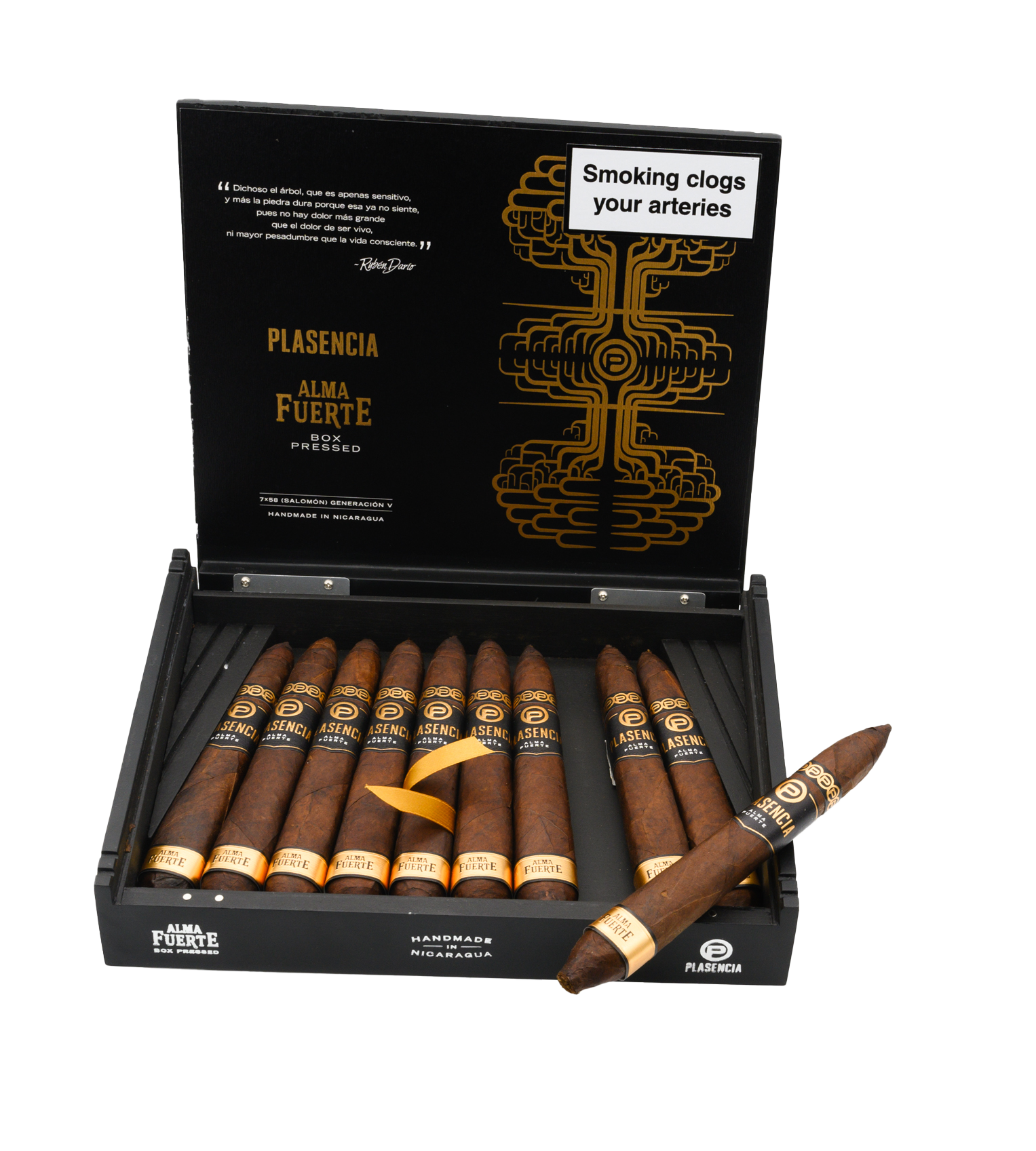 Plasencia Alma Fuerte Generacion V Salomon