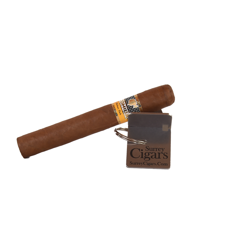 Cohiba Siglo VI