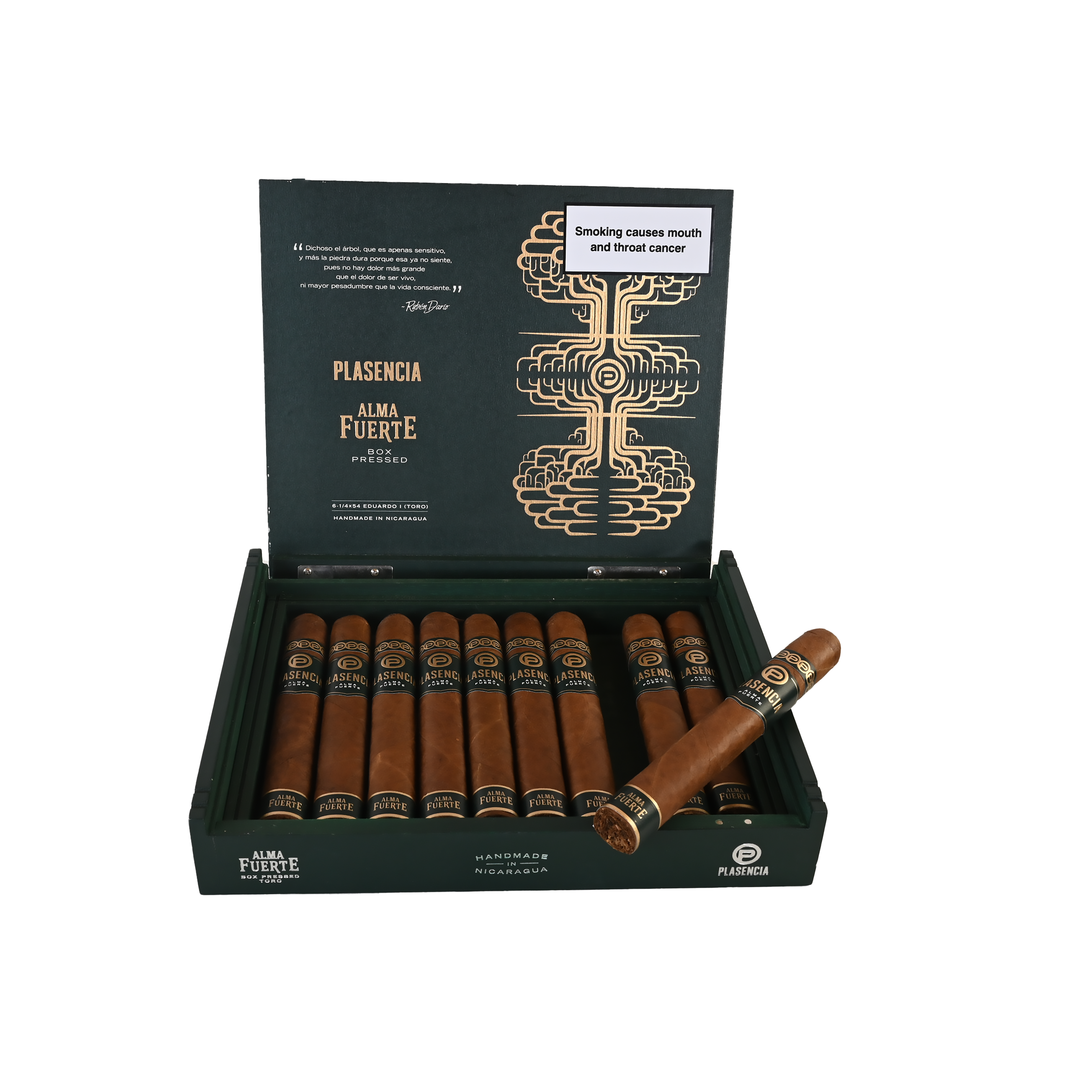 Plasencia Alma Fuerte Eduardo I Toro